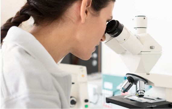 Nabelschnurblut als Therapieansatz