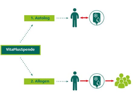 Schaubild zu Hybridmodell der Spendenoption 